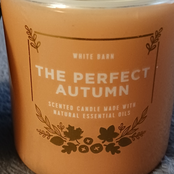NEW | BATH And BODY WORKS SINGLE WICK CANDLE - Picture 4 of 6